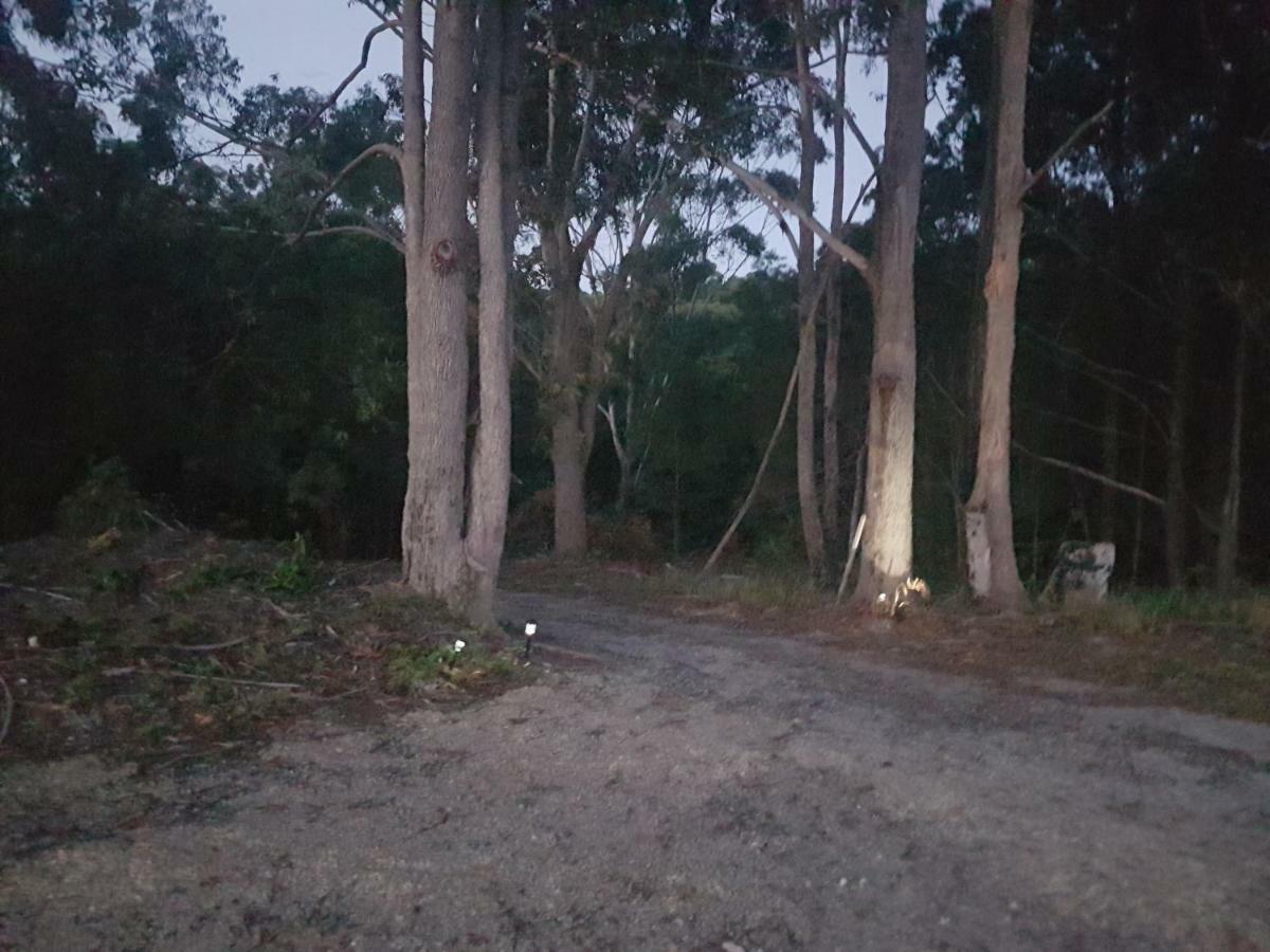 Forest View Bungalow Nambucca Heads Exterior photo